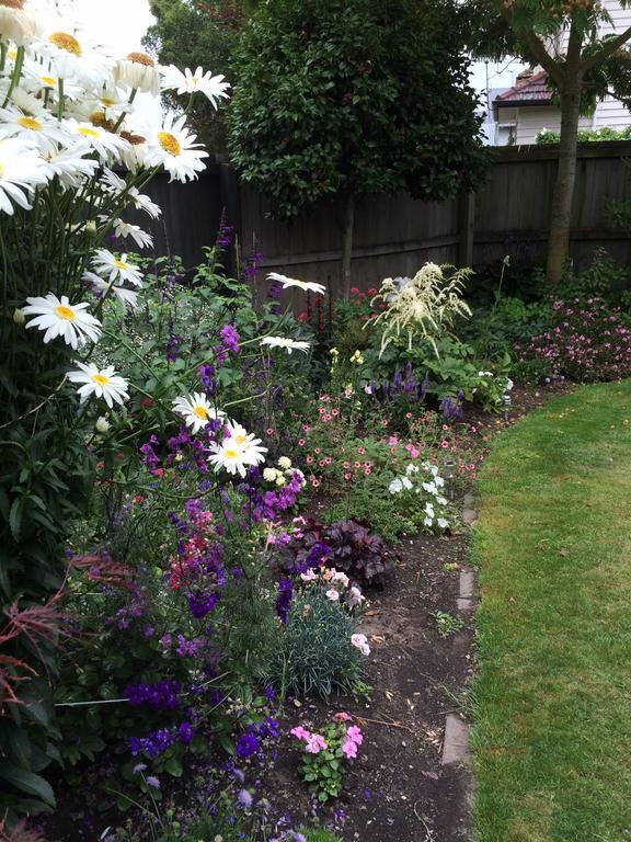 Garden Bed And Breakfast Christchurch Exteriör bild