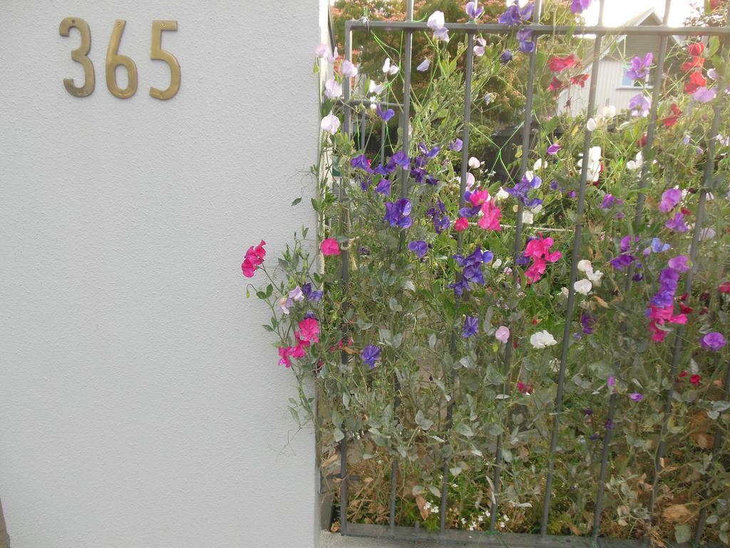 Garden Bed And Breakfast Christchurch Exteriör bild