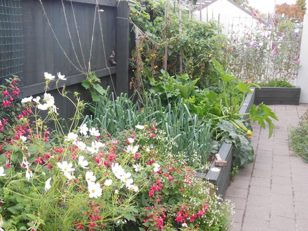 Garden Bed And Breakfast Christchurch Exteriör bild