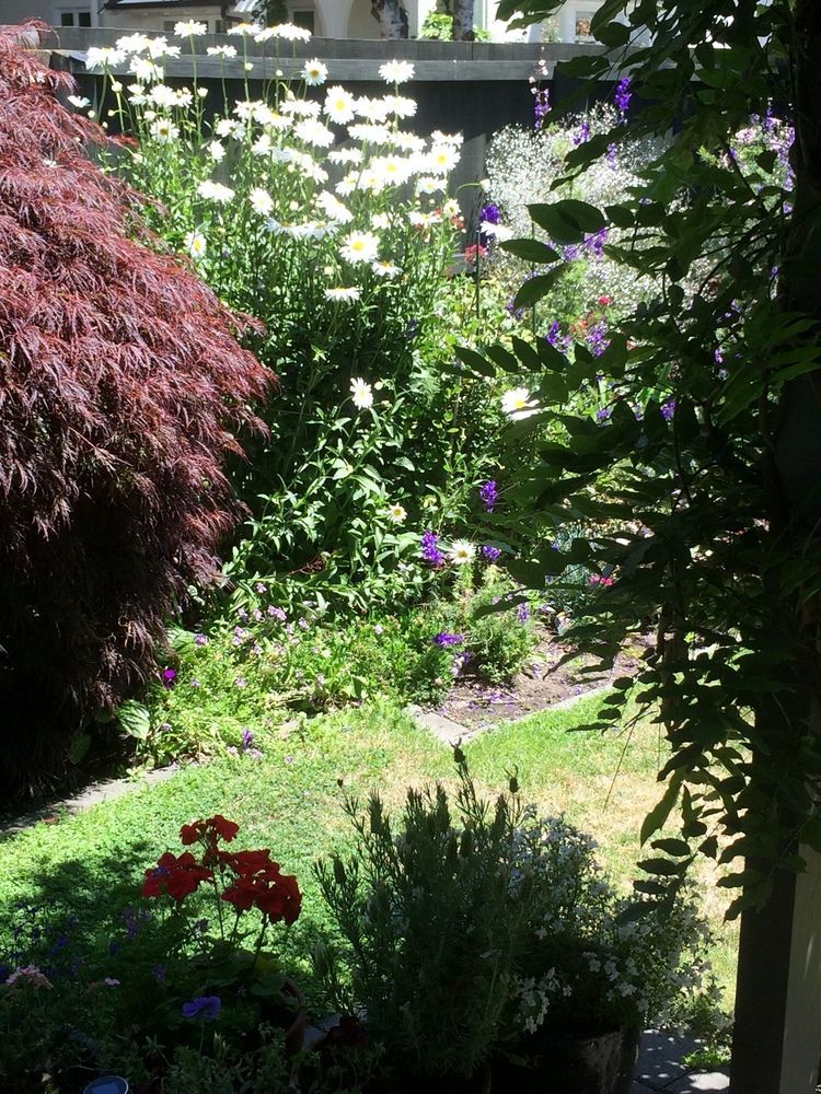 Garden Bed And Breakfast Christchurch Exteriör bild