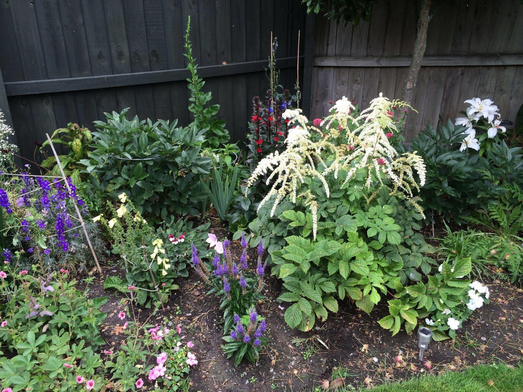Garden Bed And Breakfast Christchurch Exteriör bild