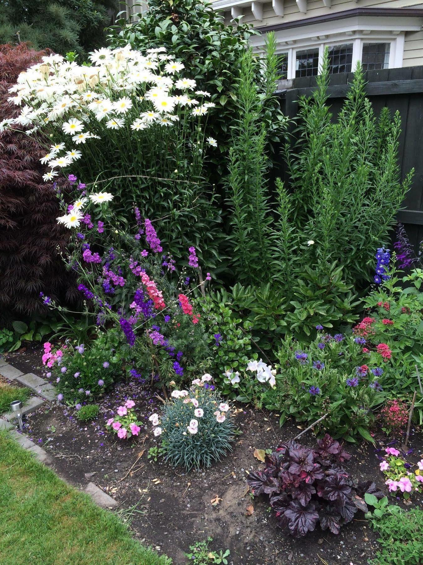 Garden Bed And Breakfast Christchurch Exteriör bild